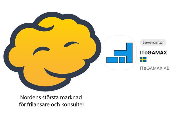 ITeGAMAX – Våra konsulter på Brainville